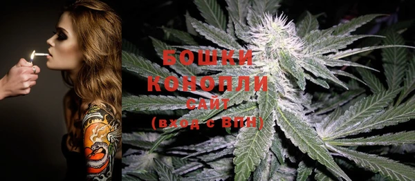 гашик Богородицк