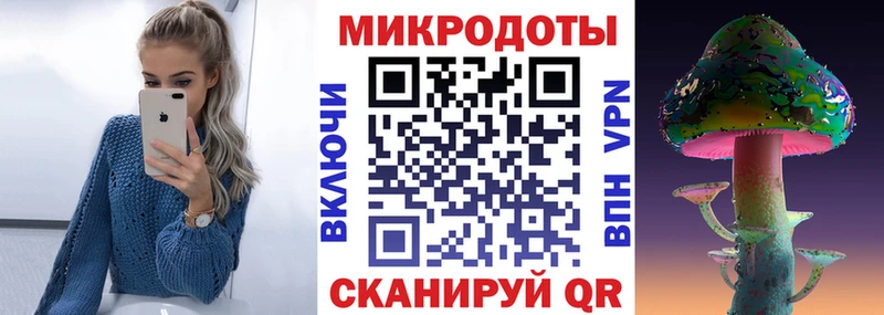 Псилоцибиновые грибы Psilocybe Кольчугино