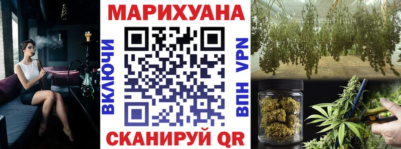 Бошки Шишки план  Кольчугино 